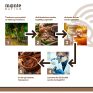 Premium Qualität Bio Kakaopulver